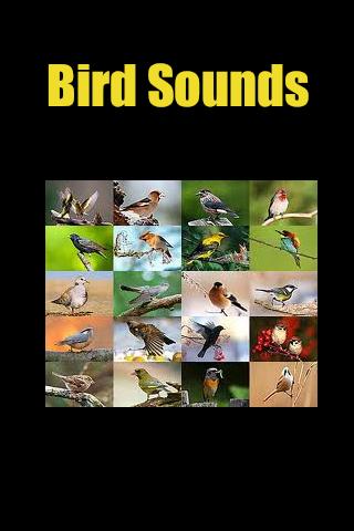 Bird Sounds