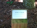 King Palm Plaque