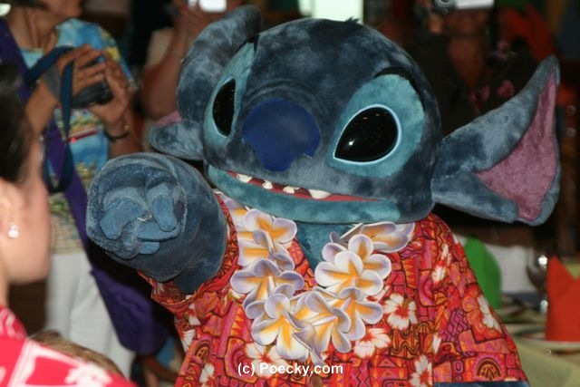 [IslandJam014.jpg]