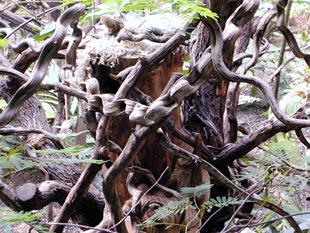 P5050077