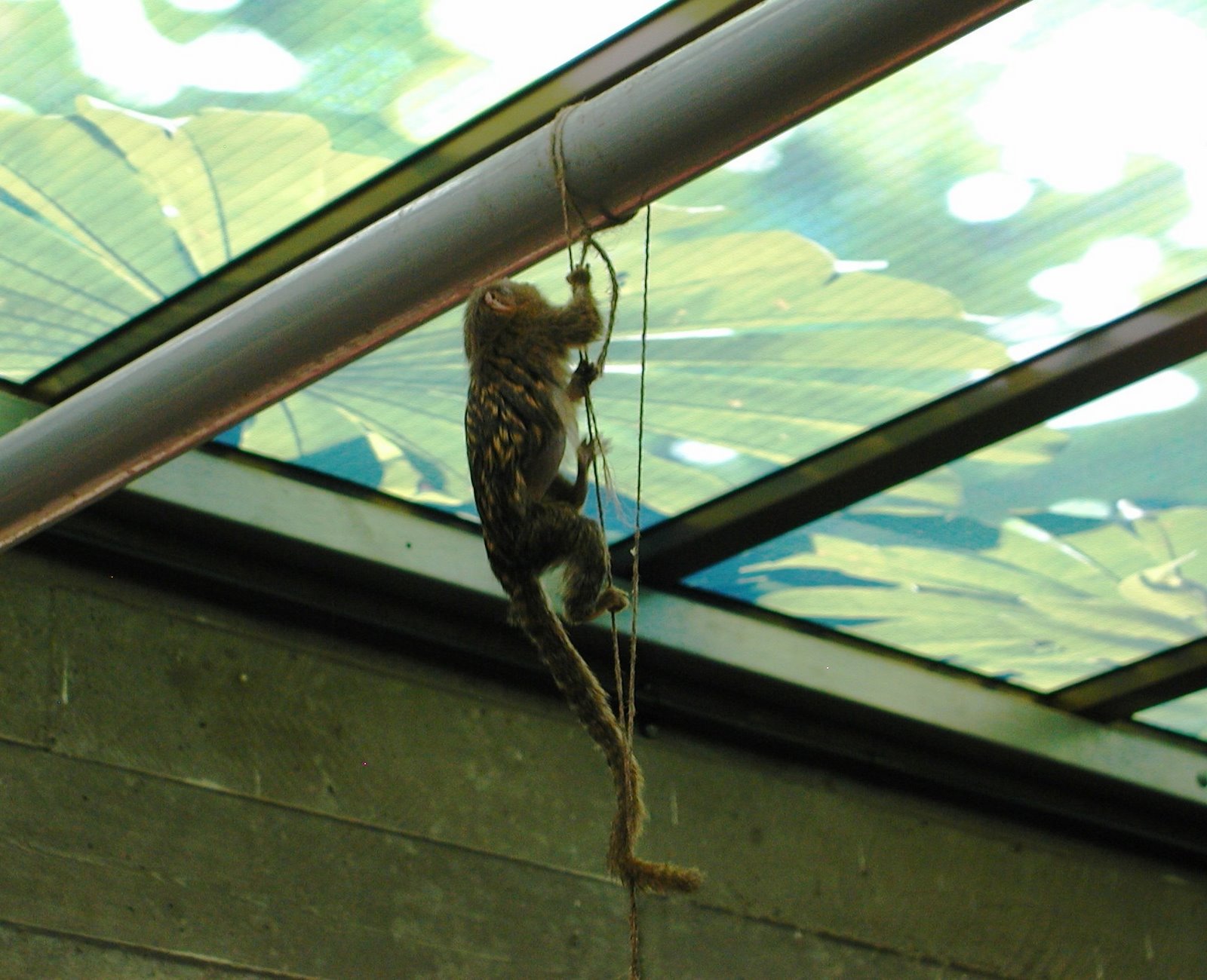 [P50500805.jpg]