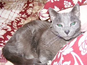 SlamMay2008