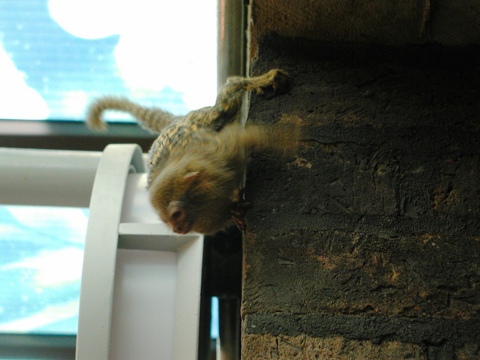 [P50500815.jpg]