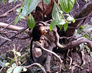 P5050073