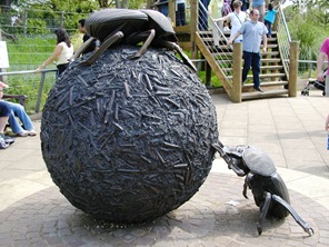 P5050039
