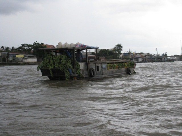 [IMG_42132.jpg]