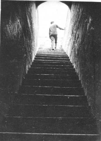 [StaircaseLeadsToTheLowerLevels4.jpg]