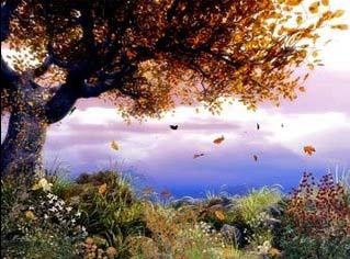 [Tree[12].jpg]