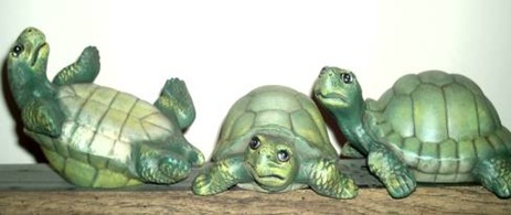 3_Turtles