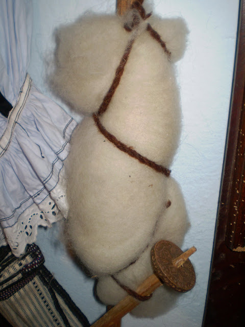 http://lh3.ggpht.com/pozejina/SMmUM_GGirI/AAAAAAAAAOA/LR37s0dcXmw/s640/furca_caer_fusptata.JPG