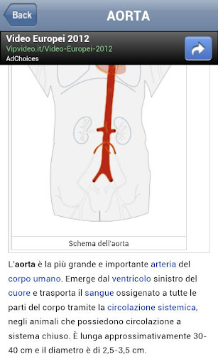 wiki-anatomy for android screenshot