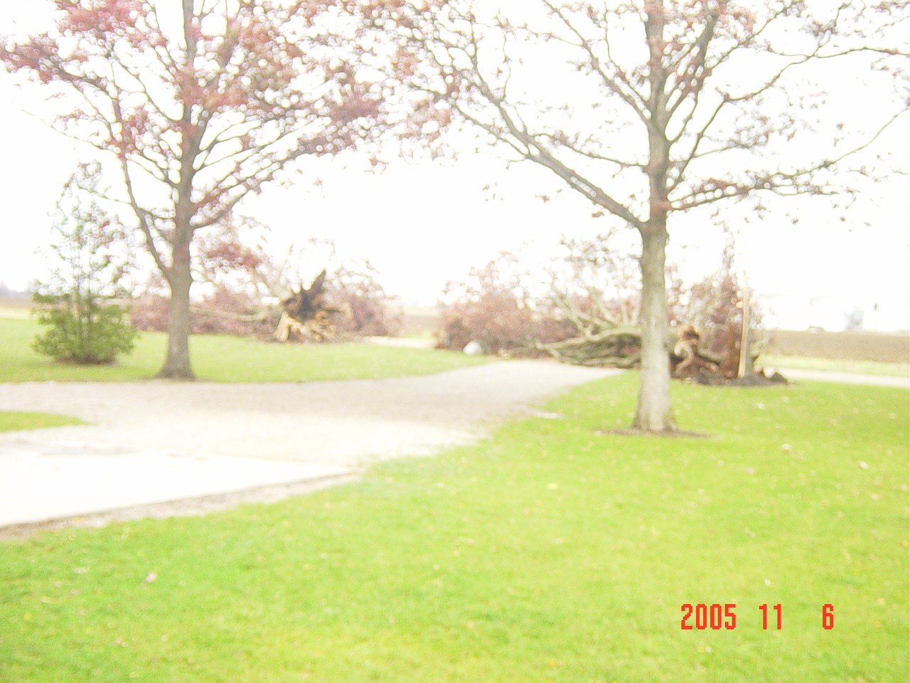 [trees down  11 2005 001[3].jpg]