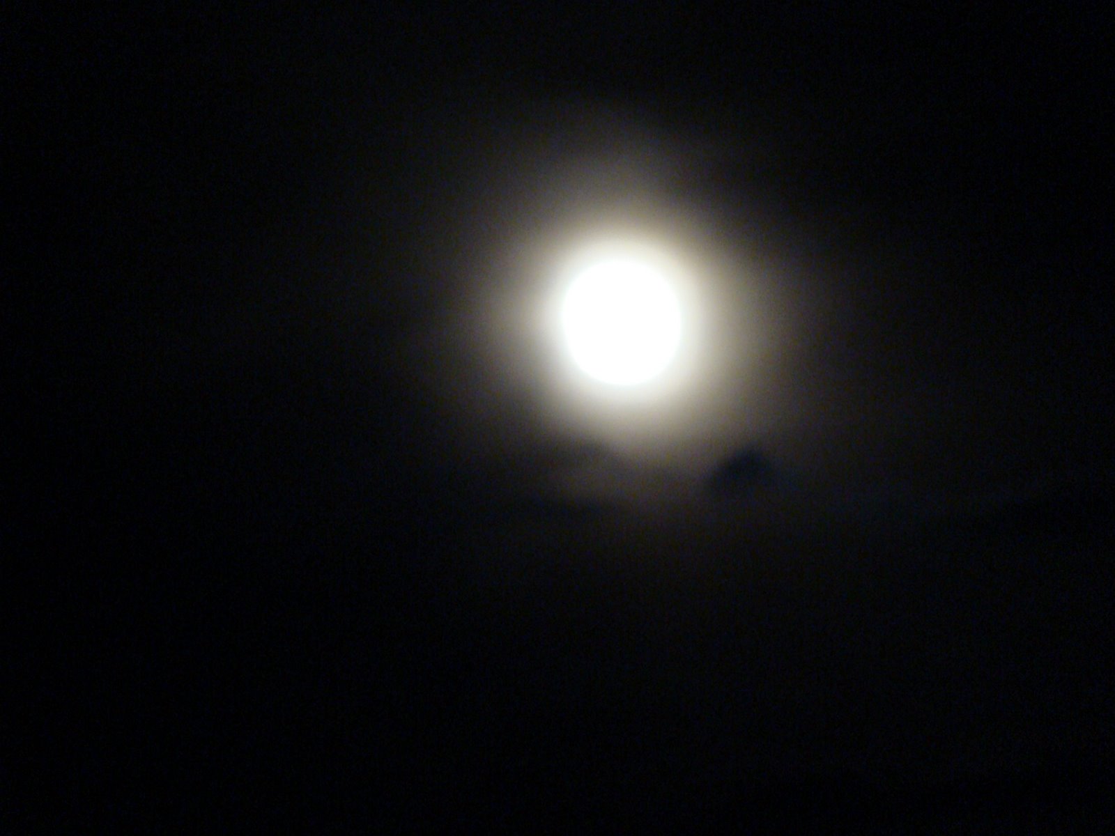 [DSC056733.jpg]
