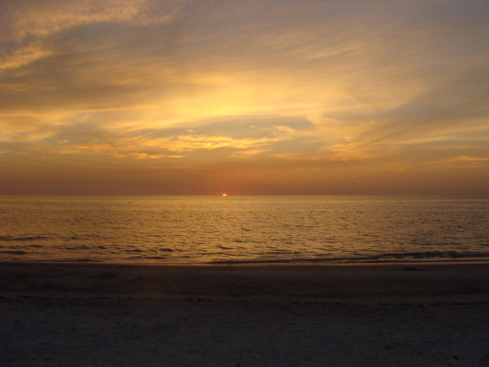 [DSC018563.jpg]