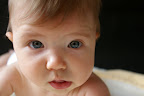 IMGP3351.JPG