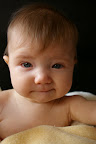 IMGP3382.JPG