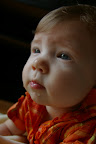 IMGP4087.JPG