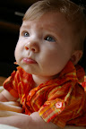 IMGP4088.JPG