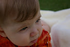 IMGP4106.JPG