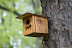 DSC_0614_org.jpg