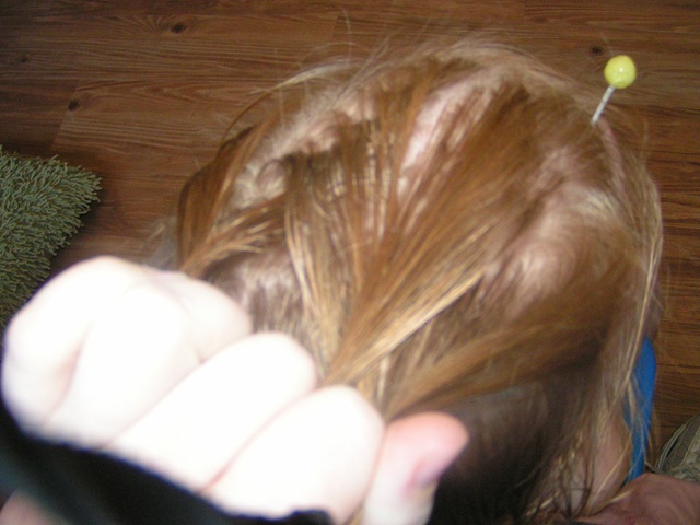 [braiding 101[6].jpg]