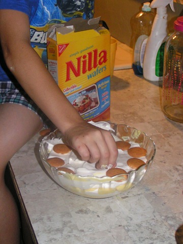 [nanna puddin[3].jpg]