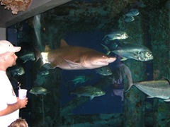PICT0285