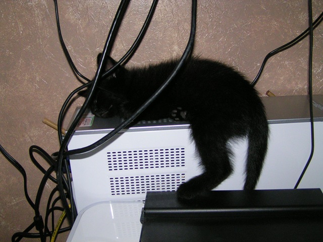 [PICT04653.jpg]