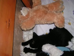 PICT0005