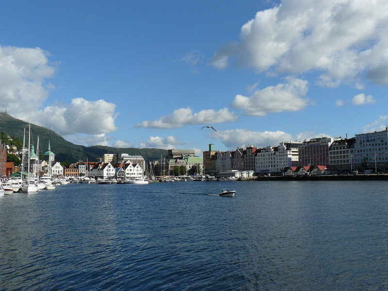 P1010255.JPG