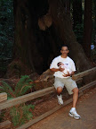 Muir Woods1