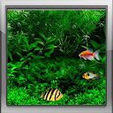Fish Tank 3d Live Wallpaper mobile app icon