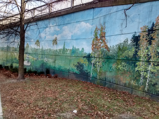 Avenue Road Rail Underpass Mural