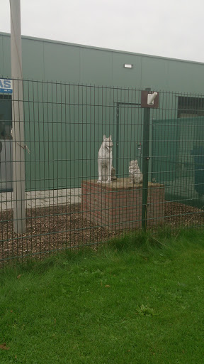 Cat and Dog Statue