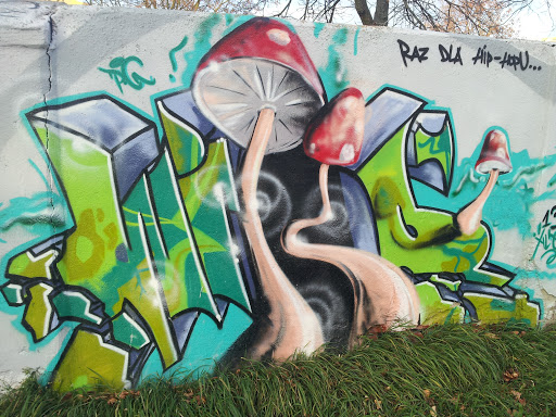 Mushroom Mural