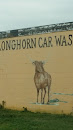 Longhorn Mural