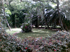 Impresionante Terreno Finca Ubicada En Imbert