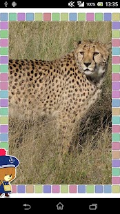 How to mod がんばれ！ルルロロ マジカルサウンドカード lastet apk for pc