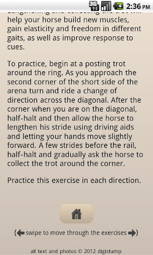 【免費運動App】Horses 101 Training Exercises-APP點子