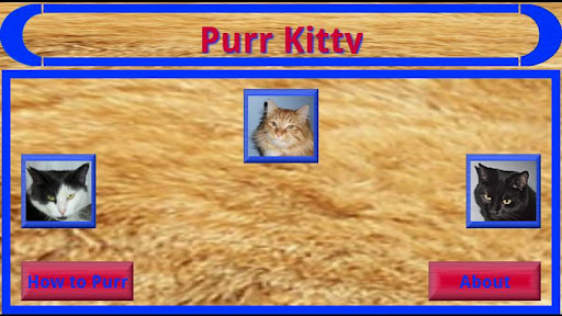Purr Kitty