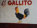 El Gallito