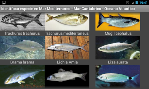 How to mod Fish of the sea and fishing 2.0 apk for android