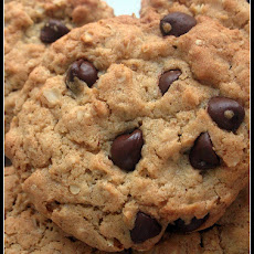 Chocolate Gingerbread Drops