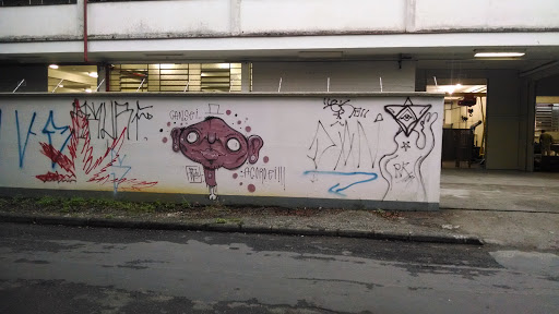 Grafite 02