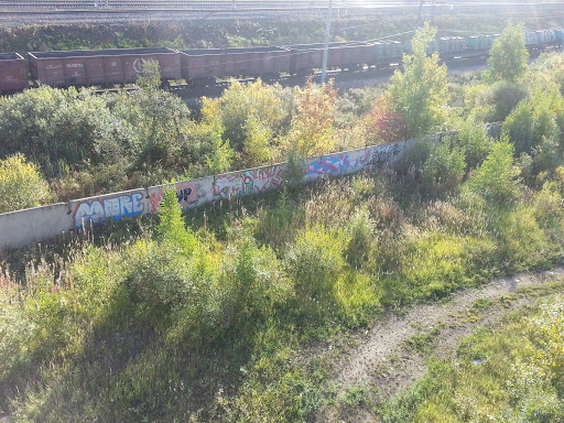 Graffiti Wall Near Bridge