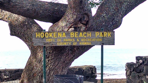 Ho'okena Beach Park