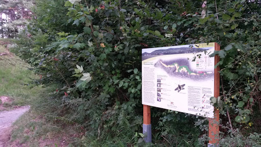 Hirschauer Berg Naturschutzgebiet Infotafel