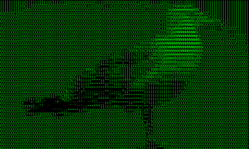 ASCII cam