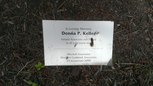 Donna P Keller 