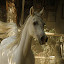 by Yasmin Kader - Animals Horses
